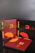 软皮钉装